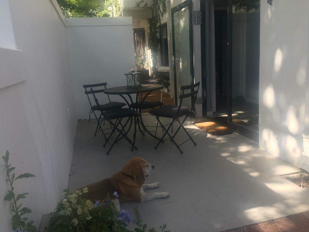 Table Mountain Guest Cottage With Private Garden Кейптаун Екстериор снимка